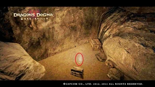 Servicio En El Extranjero Dragon S Dogma Fandom