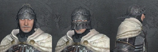 Steel Sallet.jpg (356 KB)
