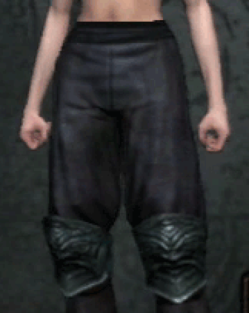 Assassin S Breeches Dragon S Dogma Wiki Fandom What's a good assassin build? dragon s dogma wiki
