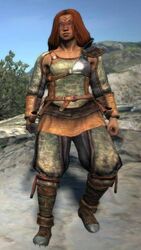 Assembled set with laborer's breeches and Chestguard upper armor