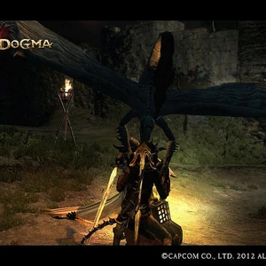 Gargoyle Dragon S Dogma Wiki Fandom For dragon's dogma on the playstation 3, a gamefaqs message board topic titled where do i find gargoyles?. gargoyle dragon s dogma wiki fandom
