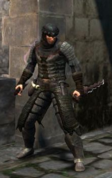 Emissary Armor Set Dragon S Dogma Wiki Fandom