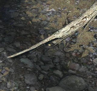 Badge of Vows 48 (badge center, under log)