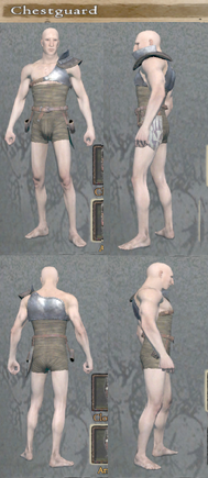 Chestguard turn around