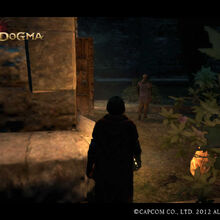 Nameless Terror Glitch Dragon S Dogma