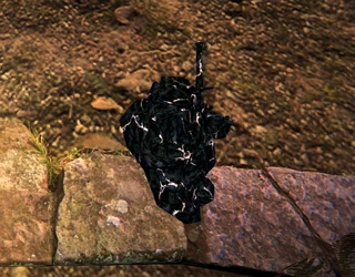 BBI Novelty Lv 3.png (646 KB) BBI Novelty Lv 3