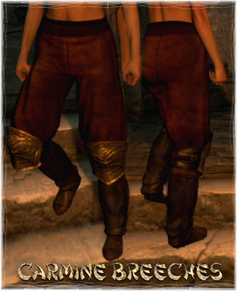 Armour Legs Carmine Breeches