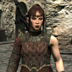 Armor, Clothing and Weapon Sets, Dragon's Dogma Wiki