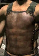 Leather Chestguard.JPG.jpg (7 KB) Die männliche Variante