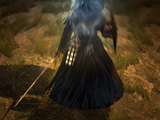 Phantom