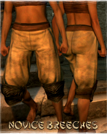 Novice Breeches Dragon S Dogma Wiki Fandom Isn't the build on the wikia the best for assassin? novice breeches dragon s dogma wiki