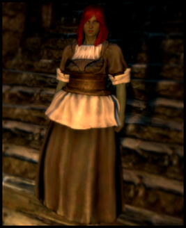 SetOfServantsGarb
