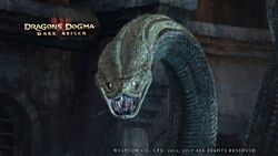 Hydra, Dragon's Dogma Wiki