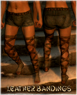 Armour Legs Leather Bandings