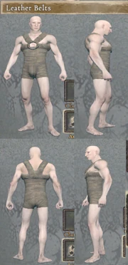 Leather belt details