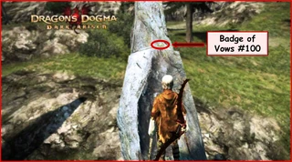 2. Scale the rock carefully so as not to fall off.