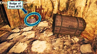 Badge lying on top of the rock to the left of the chest