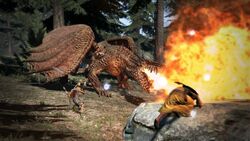 Dragonsdogma.wikia.com ▷ Observe Dragon S Dogma Wiki A News