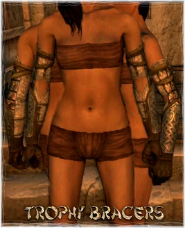 Armour Arms Trophy Bracers