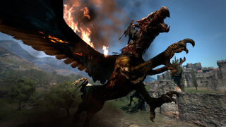 Griffin Dragon S Dogma Wiki Fandom