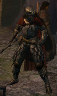 Dragon's Dogma: Gryphic Armor 