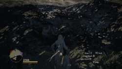 Witchwood Dragon S Dogma Wiki Fandom Witchwood Dragon S Dogma Wiki Fandom