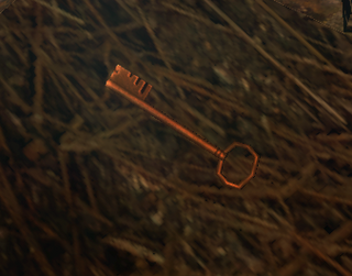 Skeleton key in game