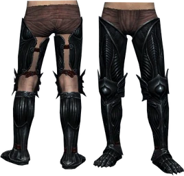 Verräterbeinschienen