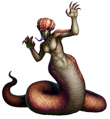 Sedusa Drakaina