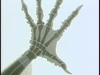 Vlcsnap-2023-07-11-13h29m53s163