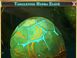 Tanglevine Hydra Elevé