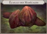 Ecaille des marécages