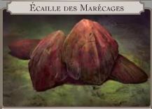 Ecaille des marécages.jpg