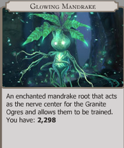 Mandrake root