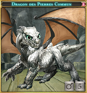 Dragon des Pierres Commun-0