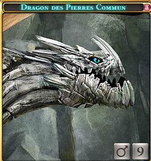 Dragon des Pierres Commun.png