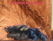 Clearwater aquadragon1