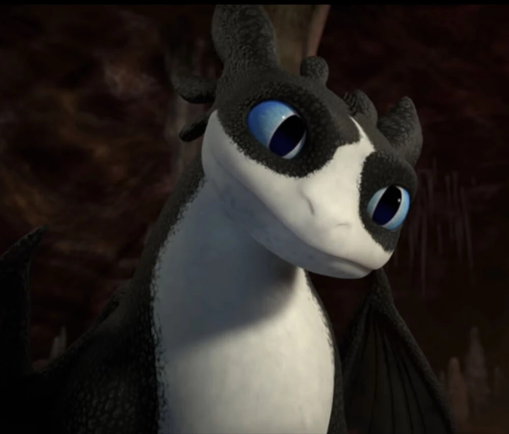 Как приручить дракона гром. Гром девять миров. Гром ночное сияние дракон. Драконы девять миров беззубик. Гром девять миров.