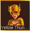 Yellow thunder.jpg