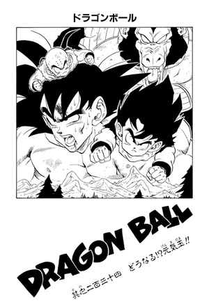 コミックスニュース　ドラゴンボール 2025年最新】コミックスニュース ドラゴンボールの人気アイテム