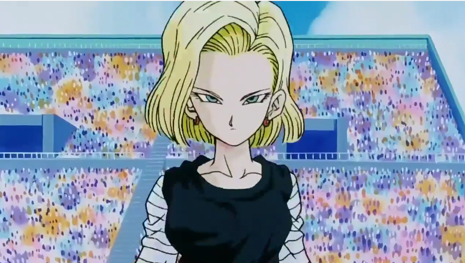 Android 17(Lápis), Wiki