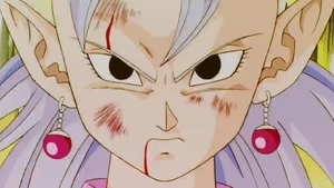 Kaioshin of the West