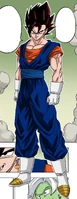 Vegetto's appearance.