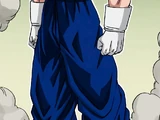 Vegetto