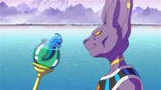 Beerus OracleFish