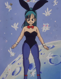 Bulma bunny clothes