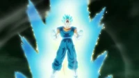 Vegetto using Super Saiyan Blue.
