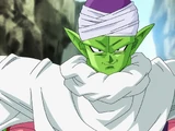 Piccolo