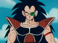 Raditz Image