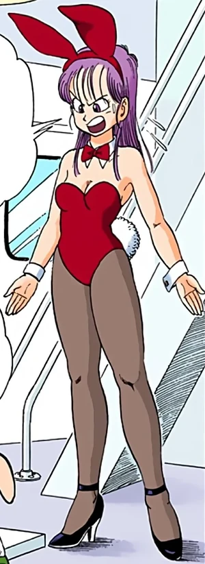 Bunny Suit | Dragon Universe Wiki | Fandom Bunny Suit | Dragon Universe Wiki | Fandom
